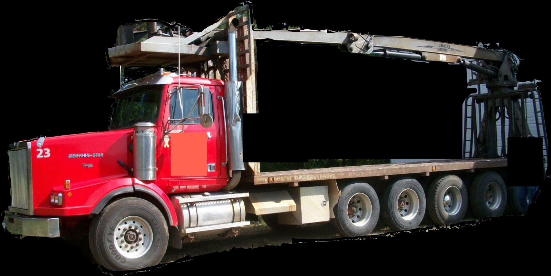 Crane